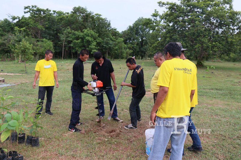 20210526-Tree planting dayt-002.jpg